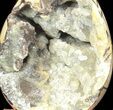 Septarian Dragon Egg Geode - Yellow Calcite #37126-1